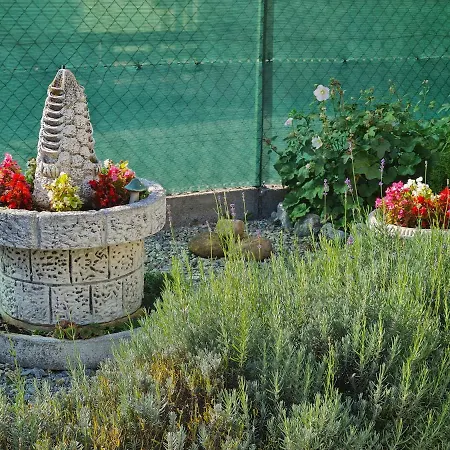 Διαμέρισμα Ginger House