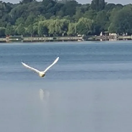 Ginger House Διαμέρισμα