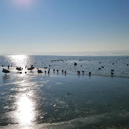 Διαμέρισμα Ginger House Keszthely