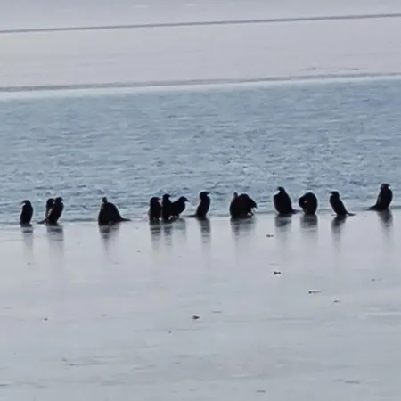 Ginger House Διαμέρισμα Keszthely