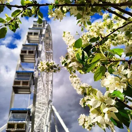 Διαμέρισμα Ginger House