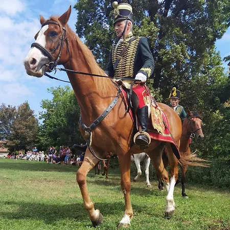 Ginger House * Keszthely