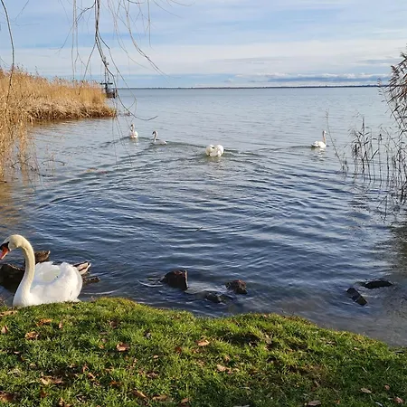 Ginger House Διαμέρισμα