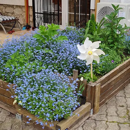 Διαμέρισμα Ginger House *