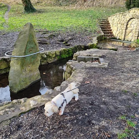 Διαμέρισμα Ginger House *